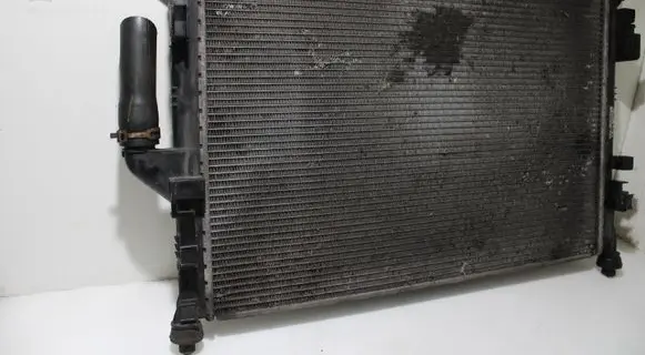 Dacia Sandero Coolant radiator 81502003