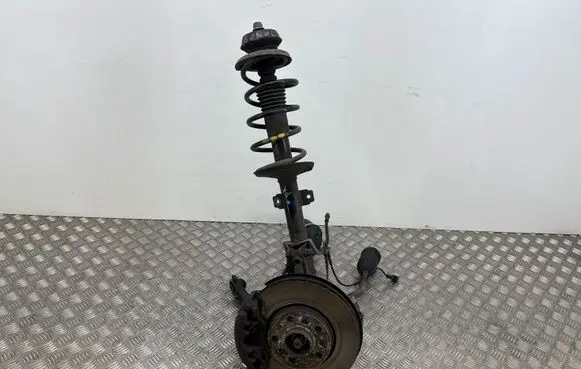Dacia Duster II Front wheel hub spindle knuckle 391016491R
