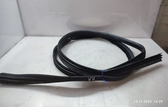 Nissan Qashqai+2 Rubber seal front door (on door) 