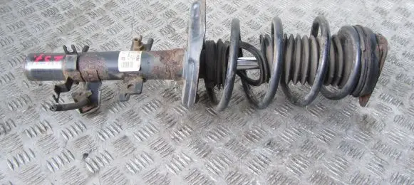 Nissan Qashqai Front shock absorber with coil spring