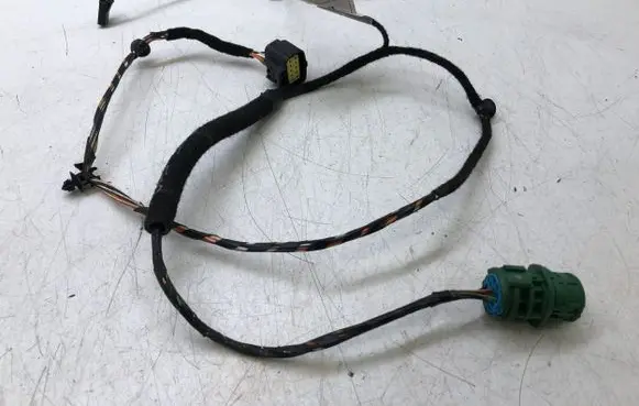 Rear door wiring loom