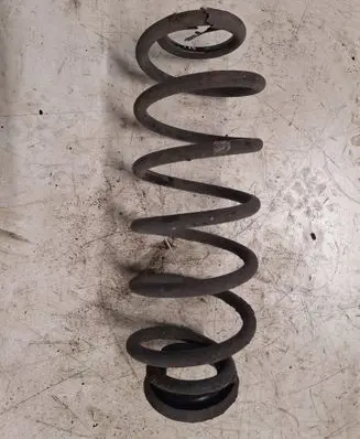 Rear coil spring