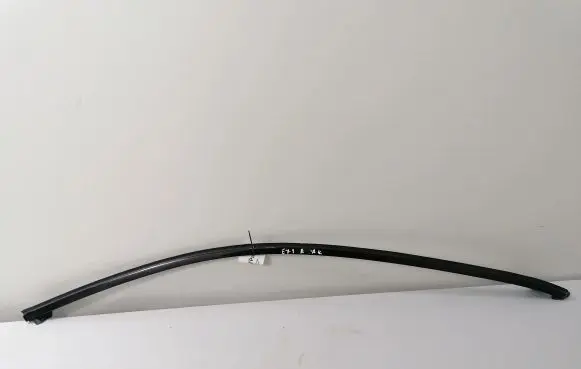 BMW X6 E71 Front door glass trim molding 1234567