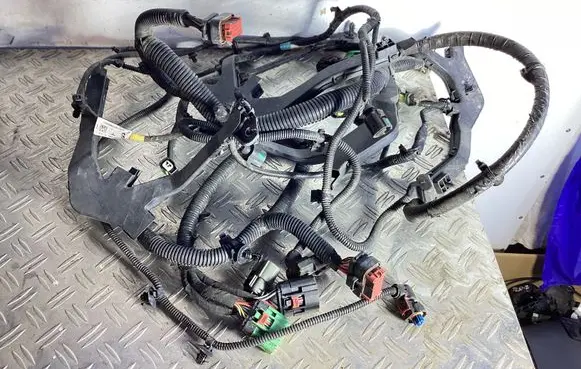 Tesla Model Y Other wiring loom 100443005S