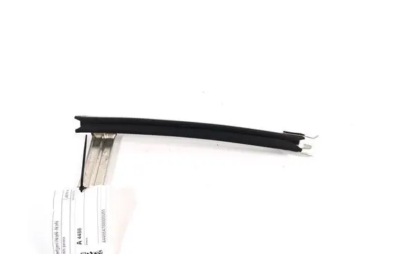 Renault Kadjar Door glass rail 802168381R