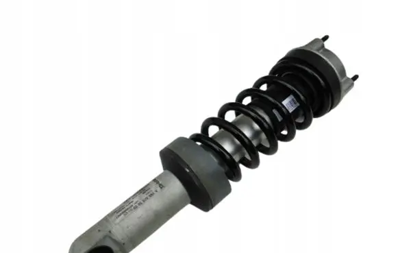 Mercedes-Benz AMG GT R190 C190 Front shock absorber with coil spring A1903205500
