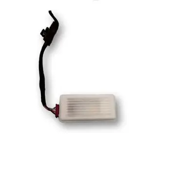 BMW 2 G42 Front seat light 63319891435 9891435