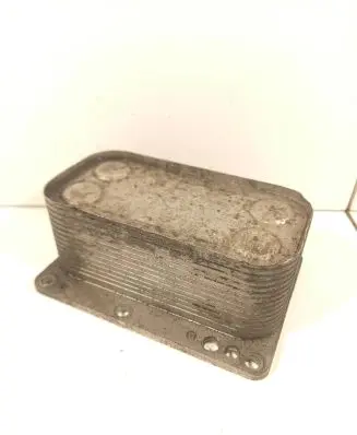 Renault Megane II Engine oil radiator 6790972560