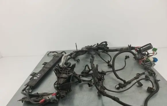 Engine installation wiring loom