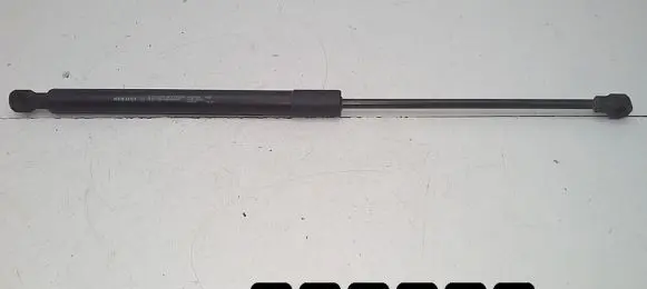 Renault Sandero I Tailgate/trunk strut/damper 904529943r