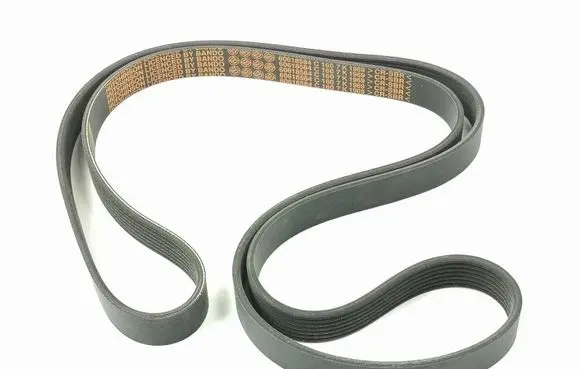 Alfa Romeo Spider 916 Alternator belt 60812001