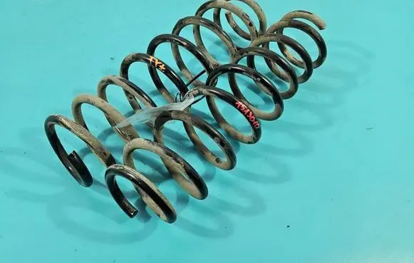 Rear coil spring
