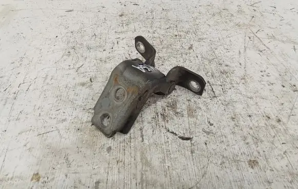 Rear door lower hinge