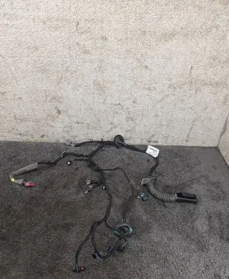 Polestar 2 Front door wiring loom 34031244 32343874