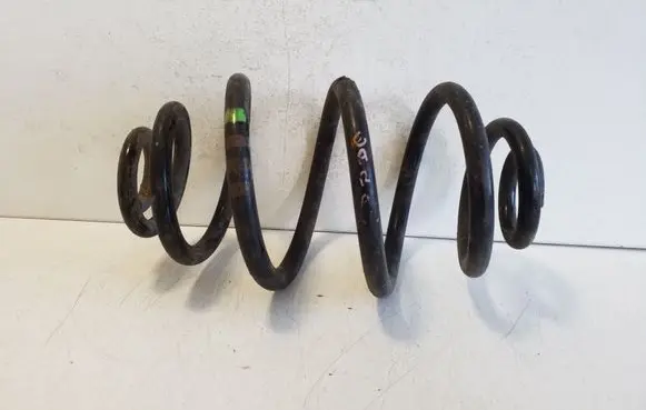 Rear coil spring