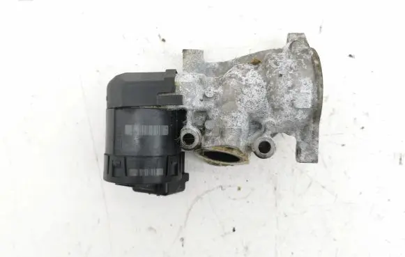 Ford Focus C-MAX EGR valve