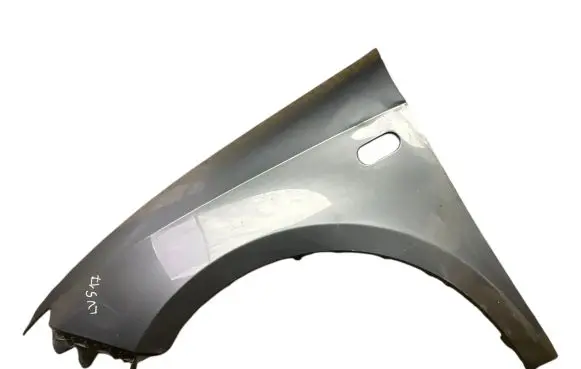 Seat Ibiza IV (6J,6P) Fender