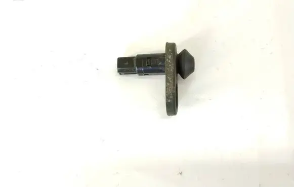 Toyota RAV 4 (XA20) Rear door sensor 