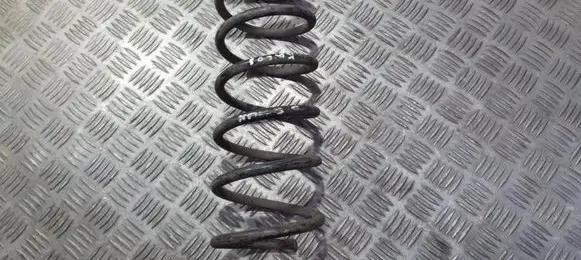 Chevrolet Kalos Rear coil spring