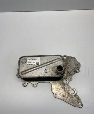 Opel Insignia B Engine oil radiator 55495019 201708110059