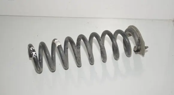 Rear coil spring