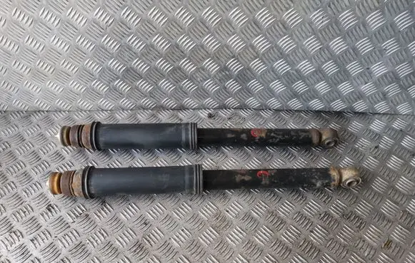Hyundai Santa Fe Rear shock absorber/damper 5530526200