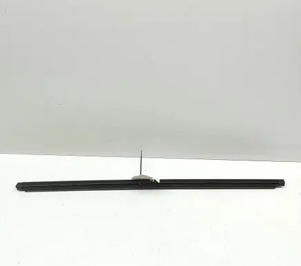 Ford Mustang Mach-E Front door glass trim molding LJ8BR25605AC