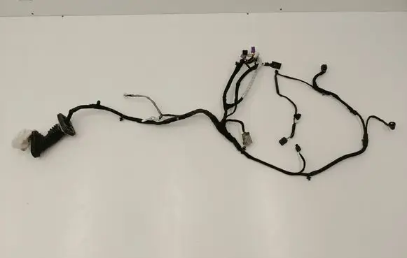 Dodge Challenger Front door wiring loom P68409479AB TCNR0999UF145