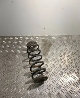 Skoda Octavia Mk2 (1Z) Rear coil spring