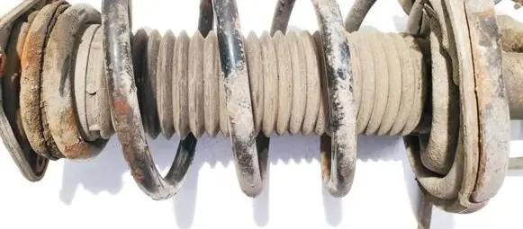 Ford Focus Front coil spring