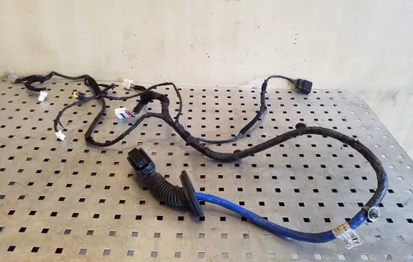 KIA Sportage Front door wiring loom 916003U440