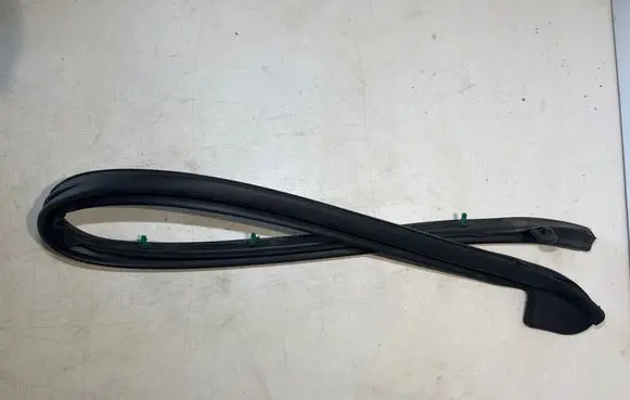 Chrysler Pacifica Sliding door rubber seal RU0M-T03