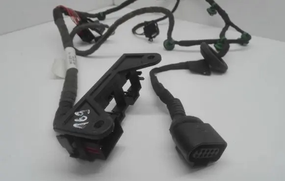 Rear door wiring loom