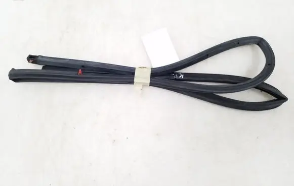 Nissan Qashqai Front door rubber seal 
