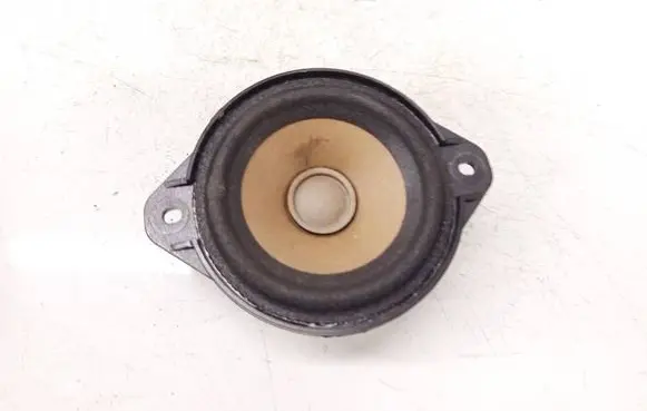 Tesla Model S Front door speaker 100483301A