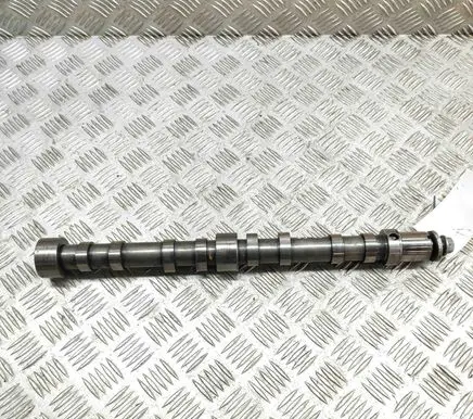Fiat Ducato Camshaft 502270039