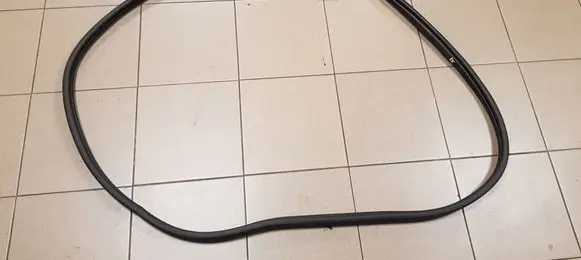 Hyundai Tucson IV NX4 Front door rubber seal 