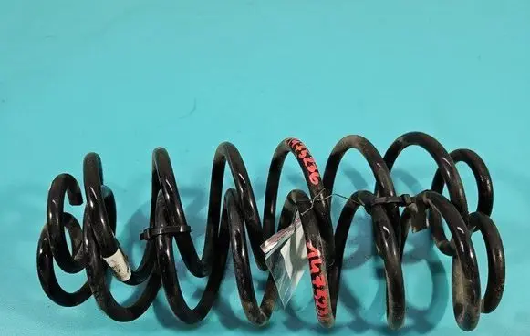 Rear coil spring