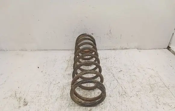 Ford Focus Rear coil spring