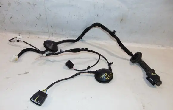 KIA Sportage Rear door wiring loom 91650F1060