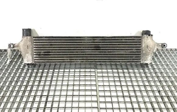 Nissan Qashqai Intercooler radiator 14461-JD50B