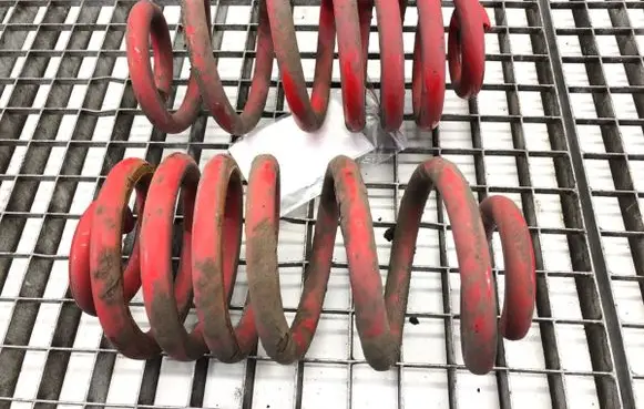 Rear coil spring