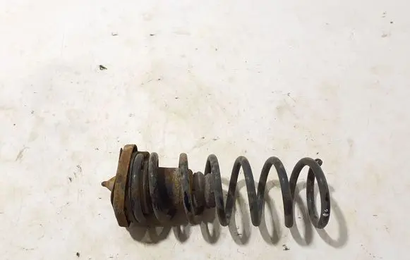 Rear coil spring