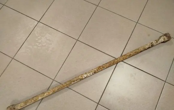 Toyota Land Cruiser (J120) Rear traction arm rod 