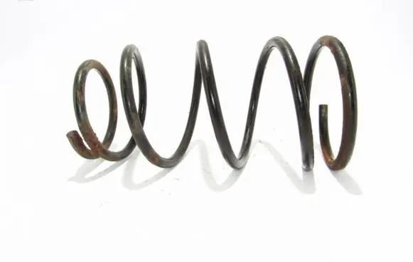Front coil spring
