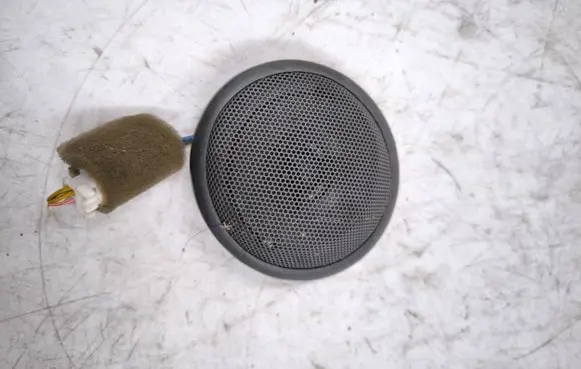 KIA Carnival Panel speaker 