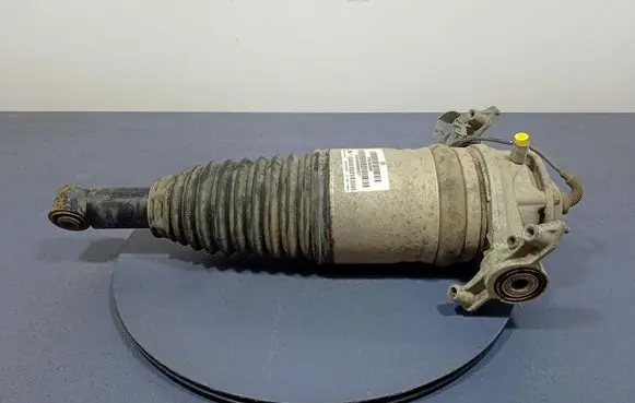 Volkswagen Touareg II Rear shock absorber/damper 7P6616019M