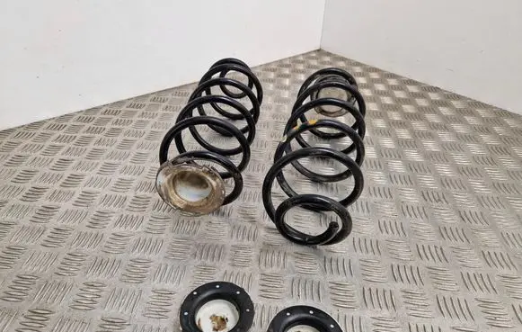 Rear coil spring