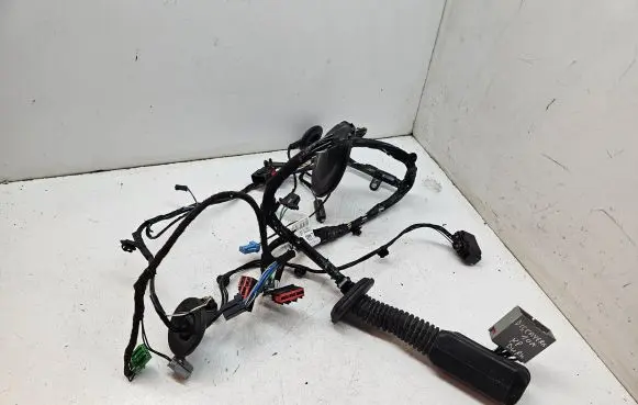 Front door wiring loom