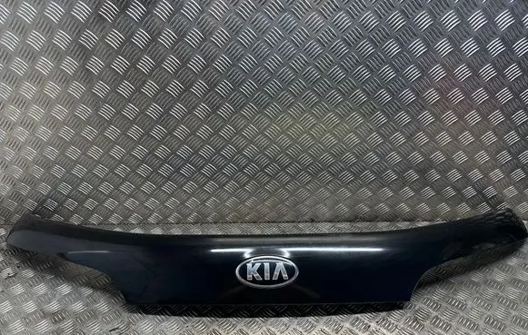 Trunk door license plate light bar